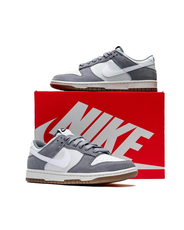 nike-dunk-low-retro-se-cool-